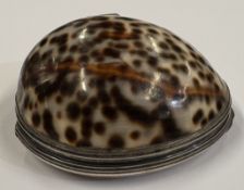 An early Provincial silver cowrie shell snuff box.