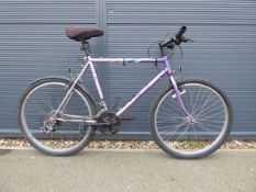 Emmelle Cheeteh purple bike