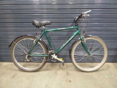 Raleigh Max green adult mountain bike