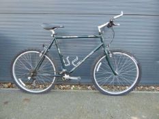 +VAT Green Shinobi bike