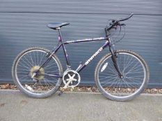 Caribbean Delight Ammaco black mountain bike