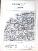 Cardigan Town & District Wales Boundary Commission 157-Year-Old Antique Map.