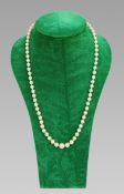 Cultured Pearl Necklace With 9ct Gold Clasp