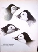 Wilson's Birds of the Antarctic Vintage Emperor Penguins Illustrations 2.