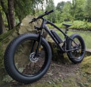 Black Widow E-Bike