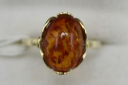 Bernstein Ring 333 Gold