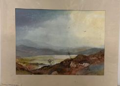 A water colour of Dock Tarn in the lake district by Anita Skinner signed lower right 53cm x 42cm