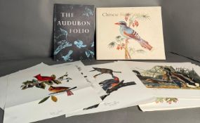 A selection of Ornithological prints from the Audubon folio and Chinese bird paintings of the Ch'