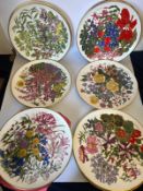 Eleven Franklin porcelain floral plates 