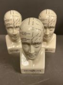 Three Phrenology heads