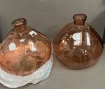 Two carboy style vases