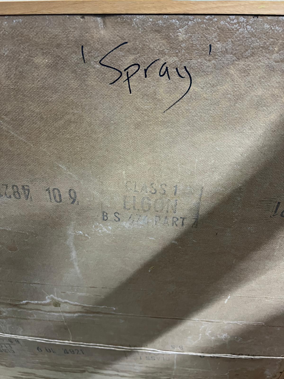 'Spray' Graffiti Art Spray on Board Signed SER. Darren Cullen (b.1974) British. Cullen is a well - Image 2 of 4