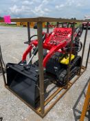 AGT YRST14 Stand On Dingo