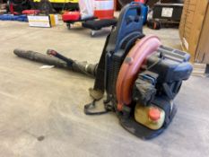 Echo Backpack Blower