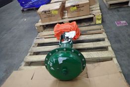 Fisher CL125 Valve with Actuator