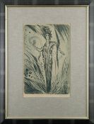 Jan Konůpek (1883-1950) UNTITLED Etching on paper, 33.5x22 cm (59.5x45 cm), signed in pencil lower r