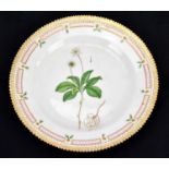ROYAL COPENAHGEN; a Flora Danica plate, hand painted with a flower specimen named verso '