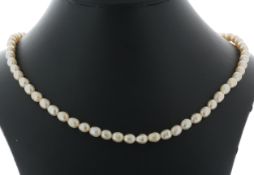 18 inch Freshwater Cultured 4.5 - 5.0mm Pearl Necklace With Brass Clasp
