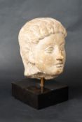 Roman Male Head