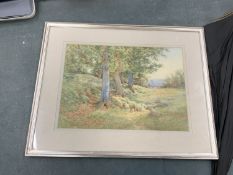A FRAMED WATERCOLOUR PAINTING TITLED 'SHEEP RESTING IN A LANDSCAPE' BY BRITISH ARTIST CHARLES