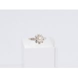 Ring, 14kt Weißgold, 8 kleine Brillanten zus. ca. 0.80 ct., etwa tw-si, 1 Akoya-Zuchtperle ø ca. 7.