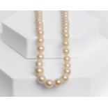 Perlenkette, im Verlauf, Perlen ø ca. 5-8 mm, ca. 48 cm lang