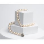 Perlenkette, Schließe 14kt Weißgold, 48 Perlen ø je ca. 8-8.5 mm, mit kleinen Diamanten, ca. 47 cm 