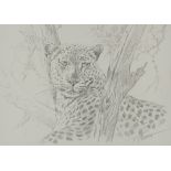 Casaro, Renato (geb. 1935).