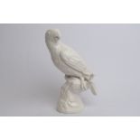 Porzellanfigur, "Papagei auf Natursockel", Nymphenburg, Pressmarken, Modellnummer 180, Weißporzella