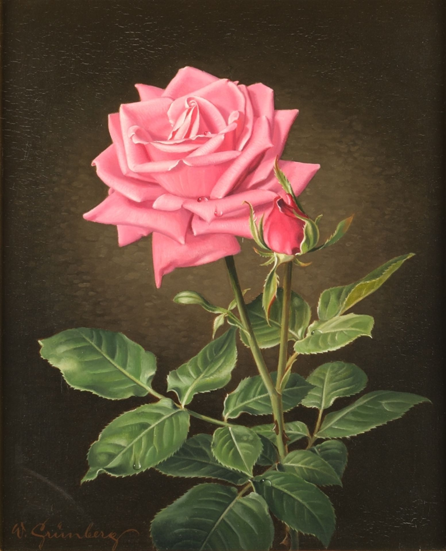 Grünberg, Wolfgang (1909 - 2001, in Köln tätiger Blumenmaler (Rosen)),