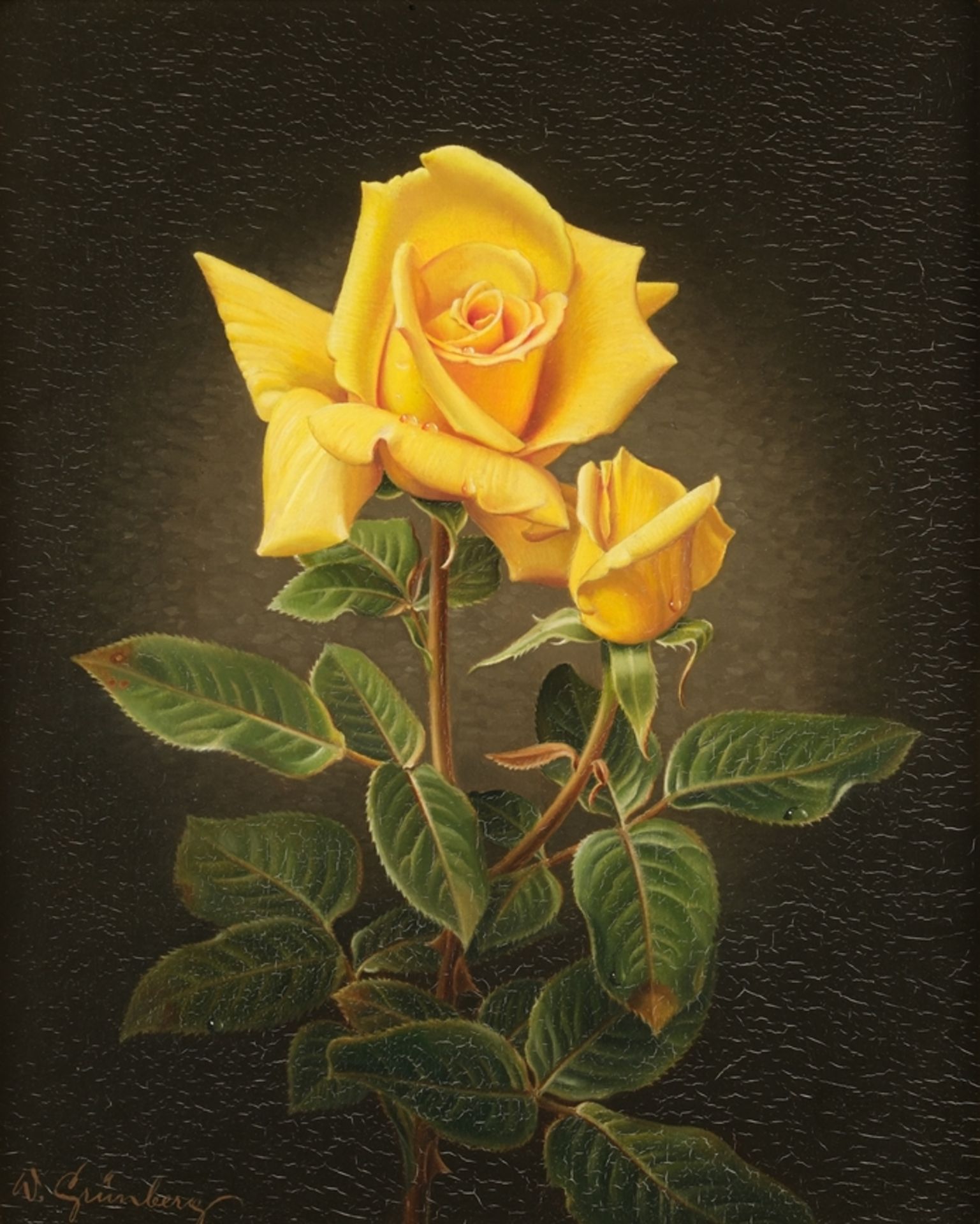 Grünberg, Wolfgang (1909 - 2001, in Köln tätiger Blumenmaler (Rosen)),