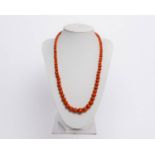 Korallkette, im Verlauf, ø ca. 5 - 12.5 mm, ca. 51 cm lang