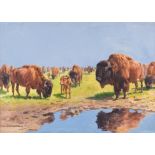 Jung-Ilsenheim, Franz Xaver (1883 - 1963),