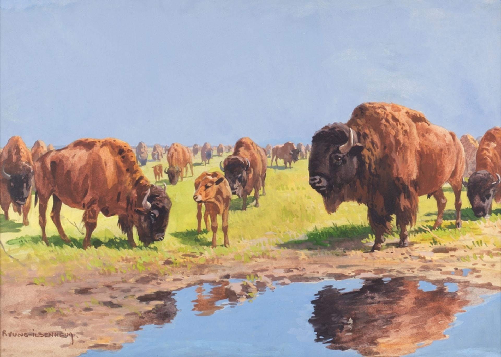 Jung-Ilsenheim, Franz Xaver (1883 - 1963),