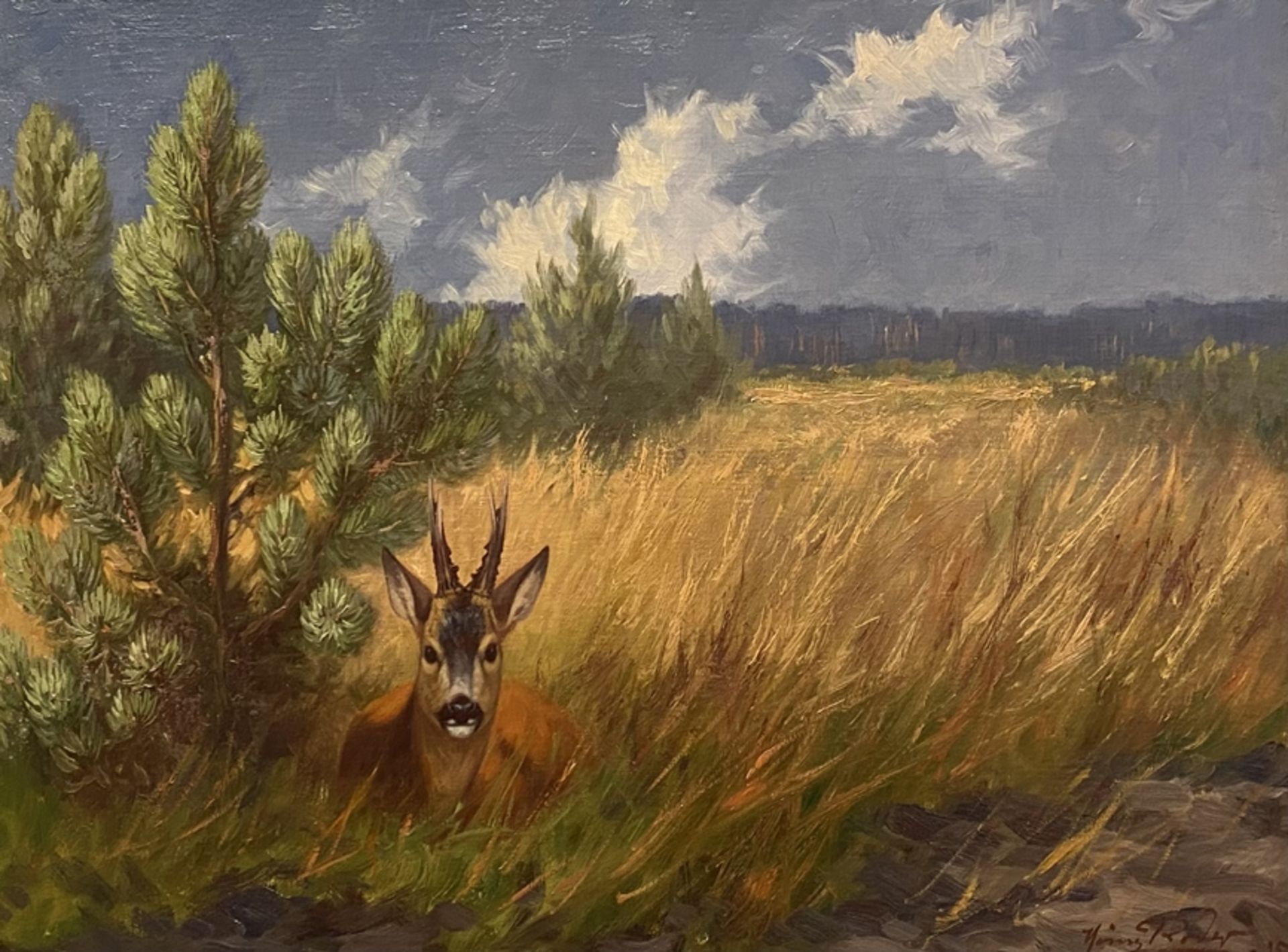 Roder, Heinz (Breslau, um 1930),