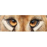 Kohl, Rudi (geb. 1964), 