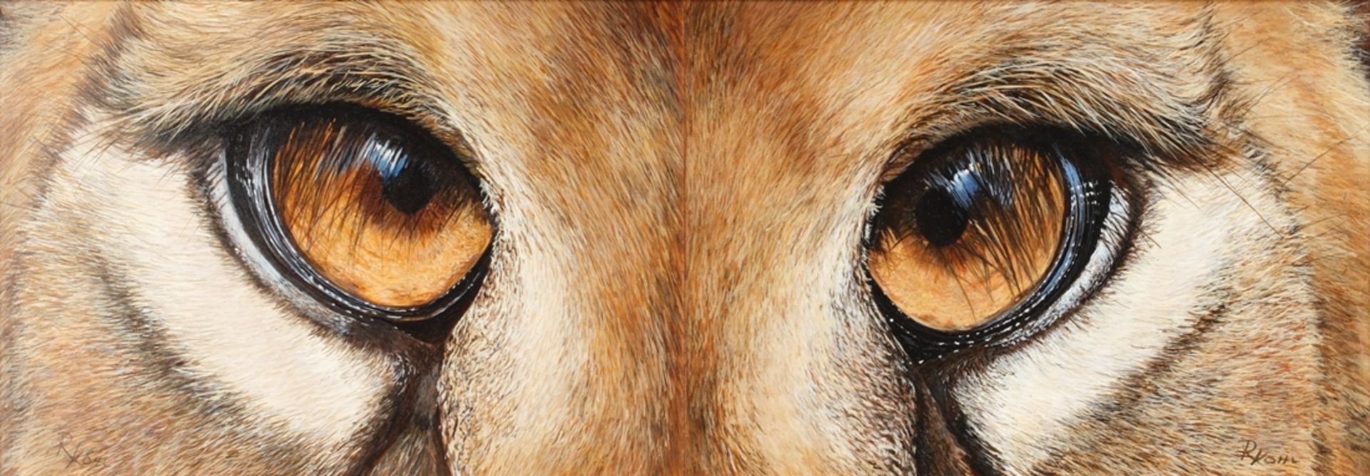 Kohl, Rudi (geb. 1964), 