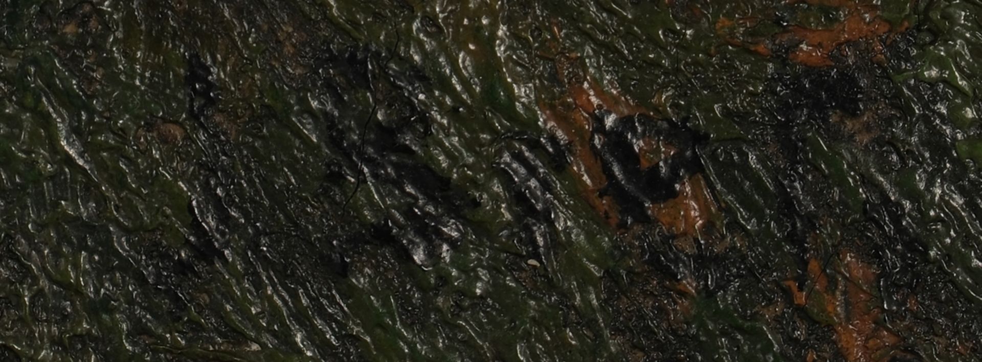 Bretz, Julius (1870 Wiesbaden - 1953 Bad Honnef), - Bild 3 aus 4