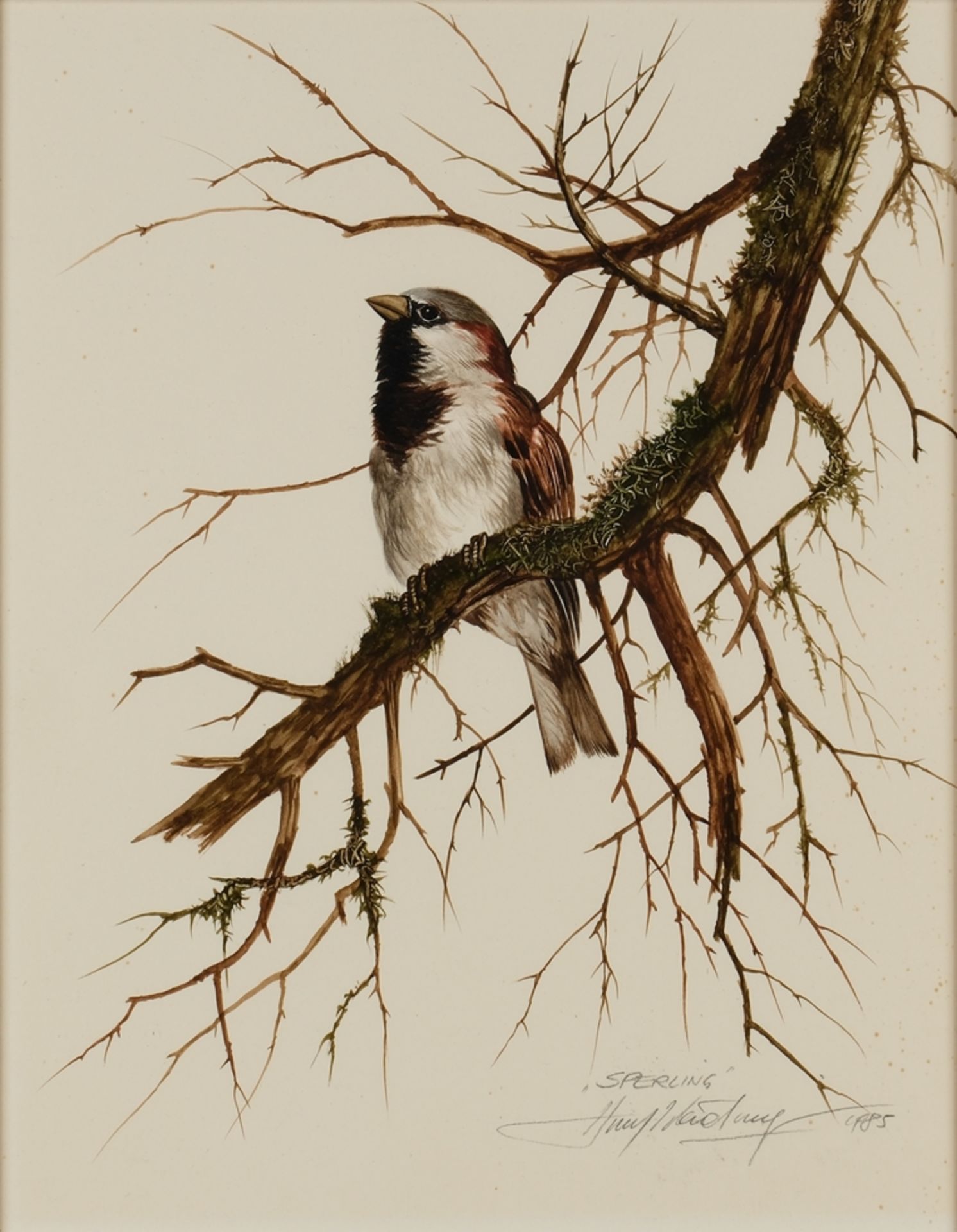 Weidinger, Hubert (geb. 1951) - Bild 3 aus 13