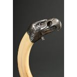 Zigarrenschneider aus Keilerzahn und naturalistisch gearbeitetem Silber Adlerkopf mit roten Glasaug