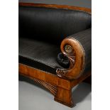 Klassisches Biedermeier Sofa mit geschnitzten Delfin Lehnen und Fächerreliefs sowie leicht gerundet