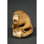 Elfenbein Netsuke "Affe mit Kaki Frucht", Augen in Horn zweifach eingelegt, sign. Masatami 正民, Japa