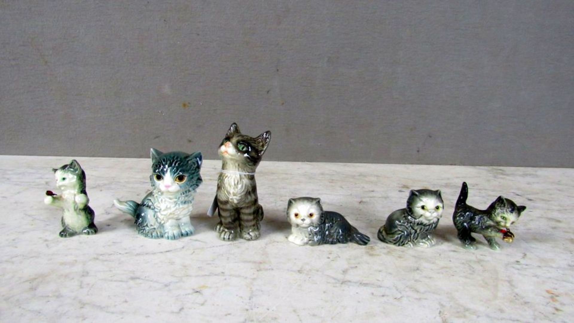 6 Porzellanfiguren Goebel Katzen von