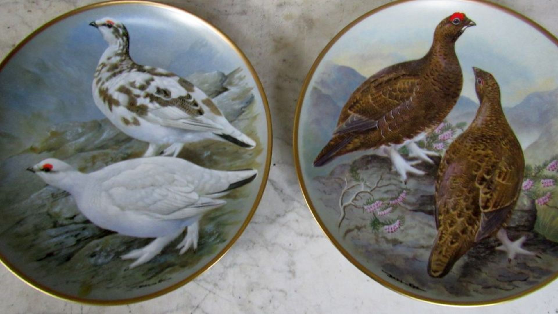 8 Wandteller Federvieh 23cm - Bild 2 aus 8