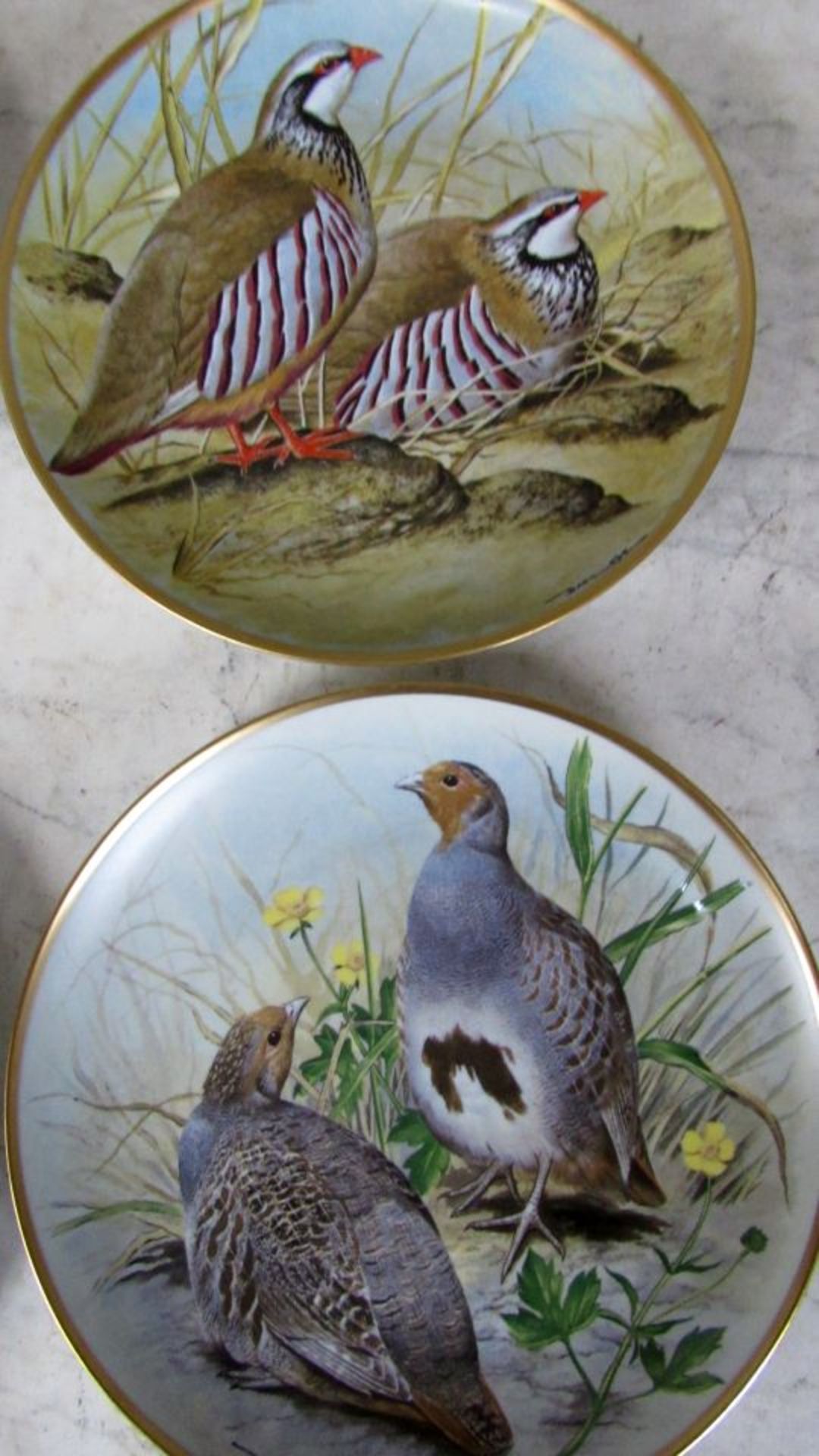 8 Wandteller Federvieh 23cm - Bild 4 aus 8