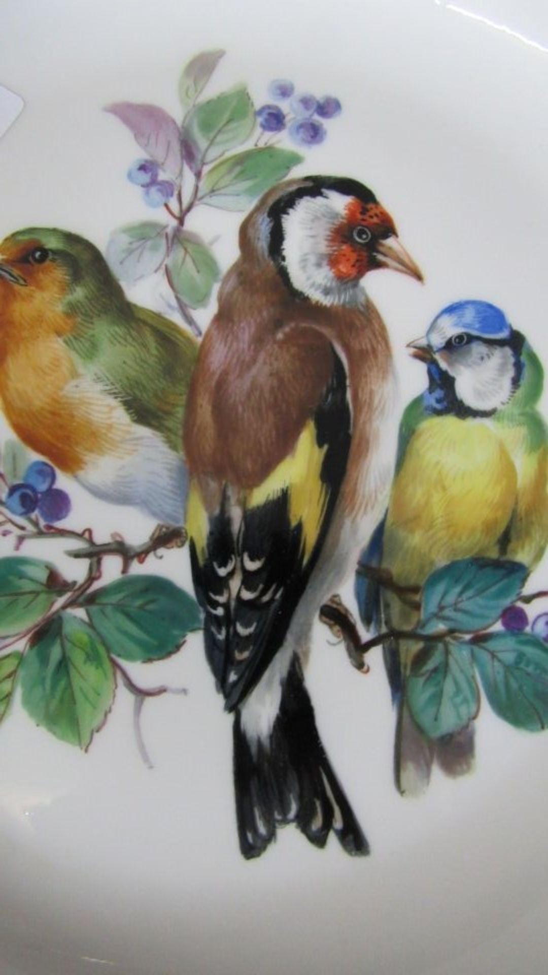 Porzellanteller Vogelmotiv Meissen - Bild 2 aus 7