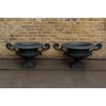 A magnificent pair of wide, Warwick shallow tazza-form cast iron urns, with black finish, with large