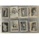 Trade Cards - Barratt & Co. Ltd - an album of 1954 and later trading cards including famous football