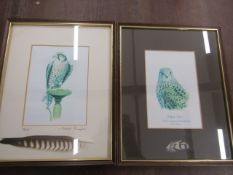 David Rampling prints 'Polly The Kestrel' and 'Nelly' , Nelly is signed in margin, both with feather