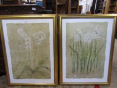 A pair orchid prints in gilt frames 94x70cm